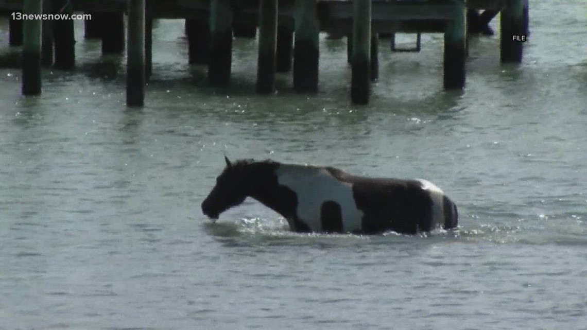 Annual pony swim returns to Chincoteague today