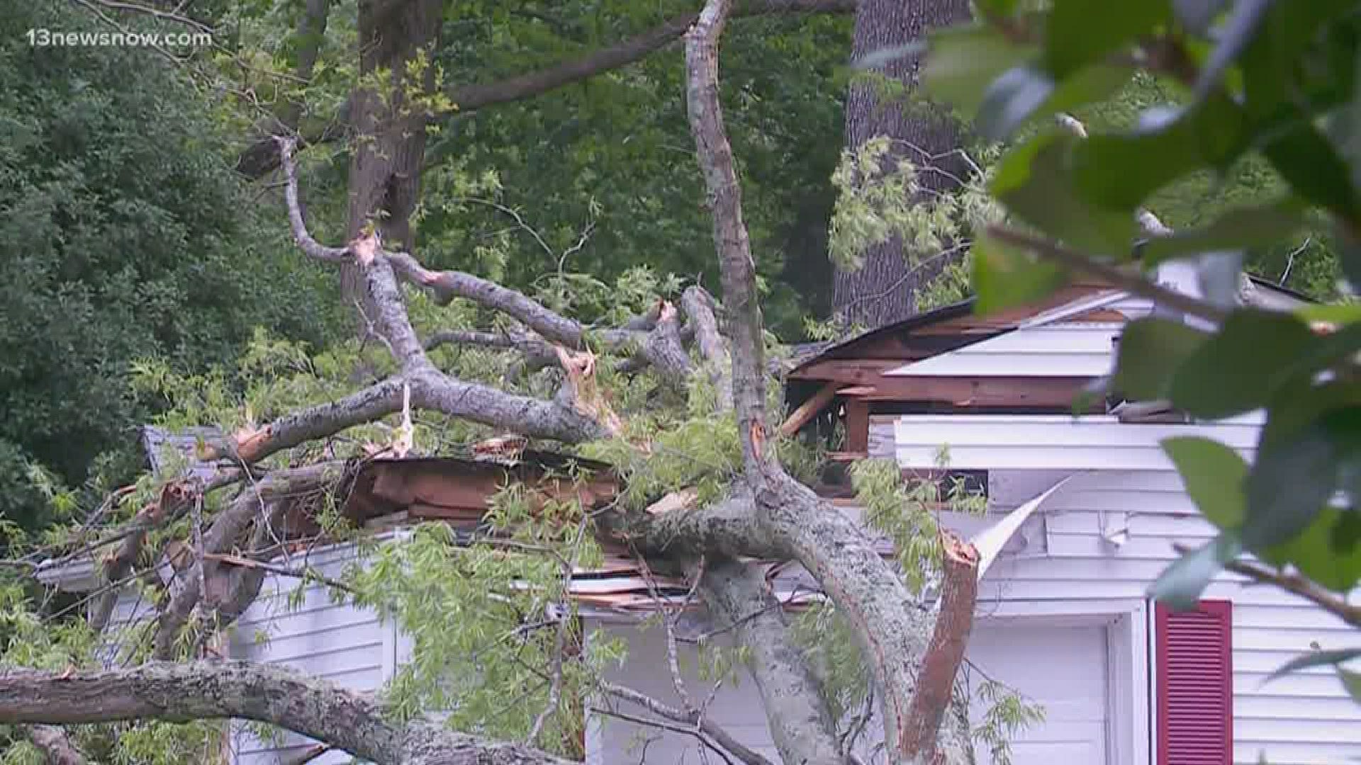 Tree service companies are busy today, and so are Dominion Energy and Virginia Natural Gas.