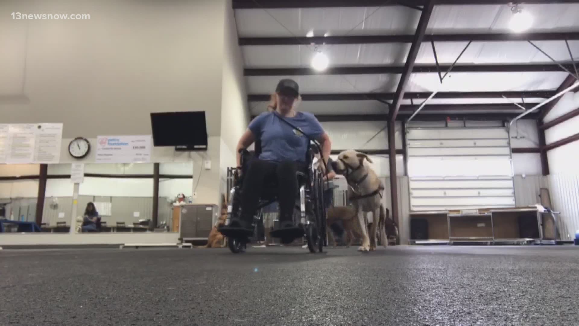 This Wilmington, North Carolina, nonprofit trains service dogs to help veterans with everything from PTSD to mobility.