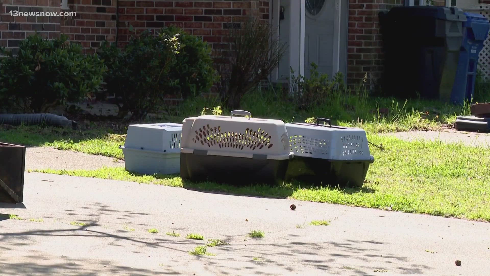 Over a dozen cats and one person are displaced after a townhome in Virginia Beach caught on fire on Sunday afternoon.