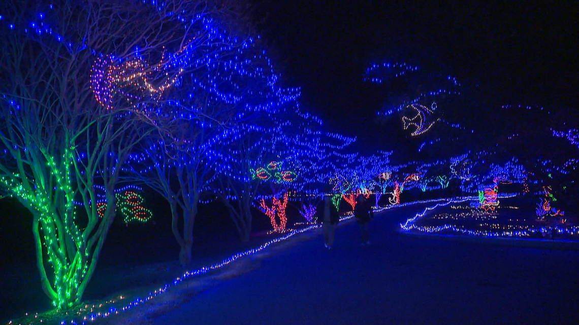 Norfolk Botanical Gardens Christmas Lights Walk | Shelly Lighting