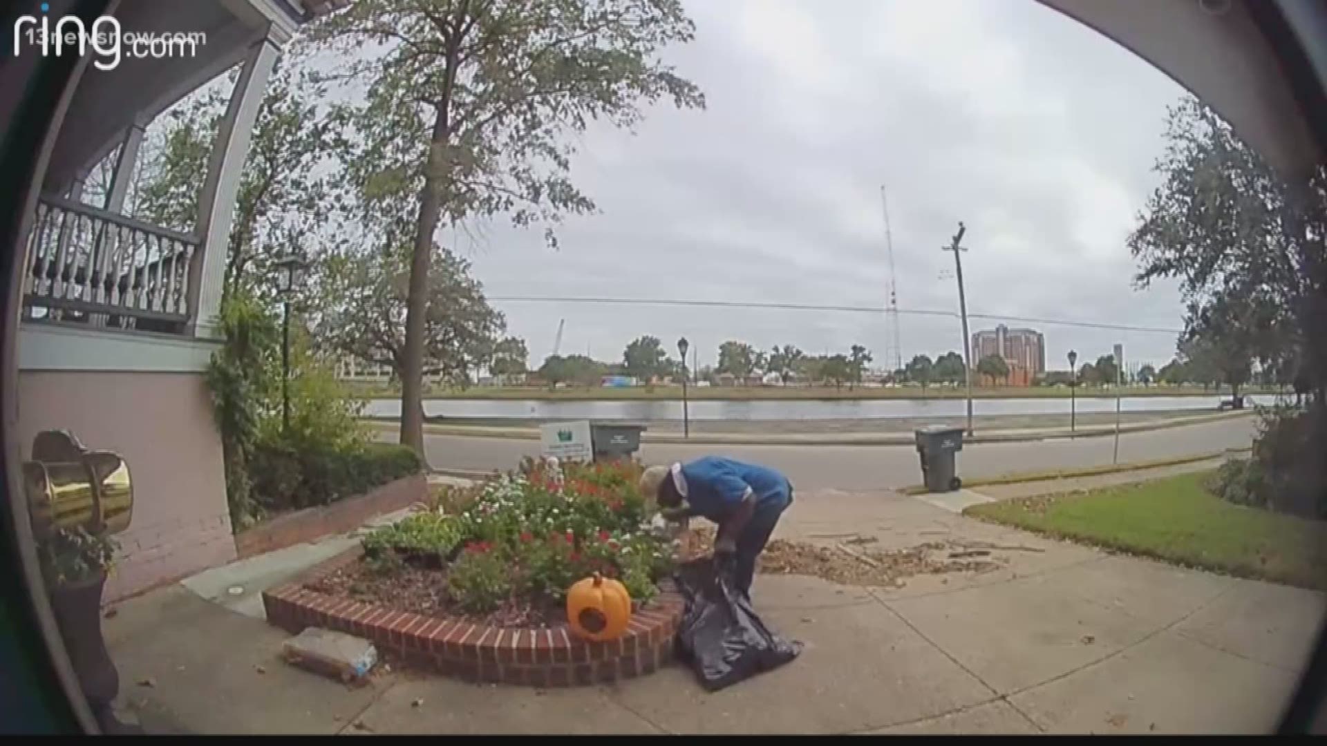 Caught on camera Man seen stealing flowers from Norfolk yard