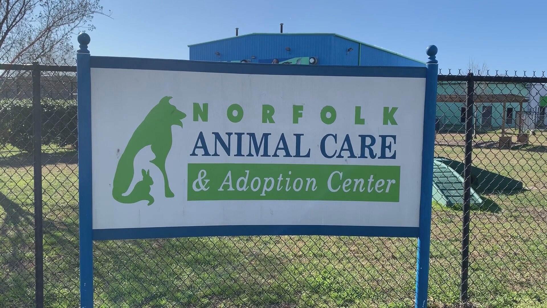 Norfolk Animal Care and Adoption Center adoption rate went up in 2020
