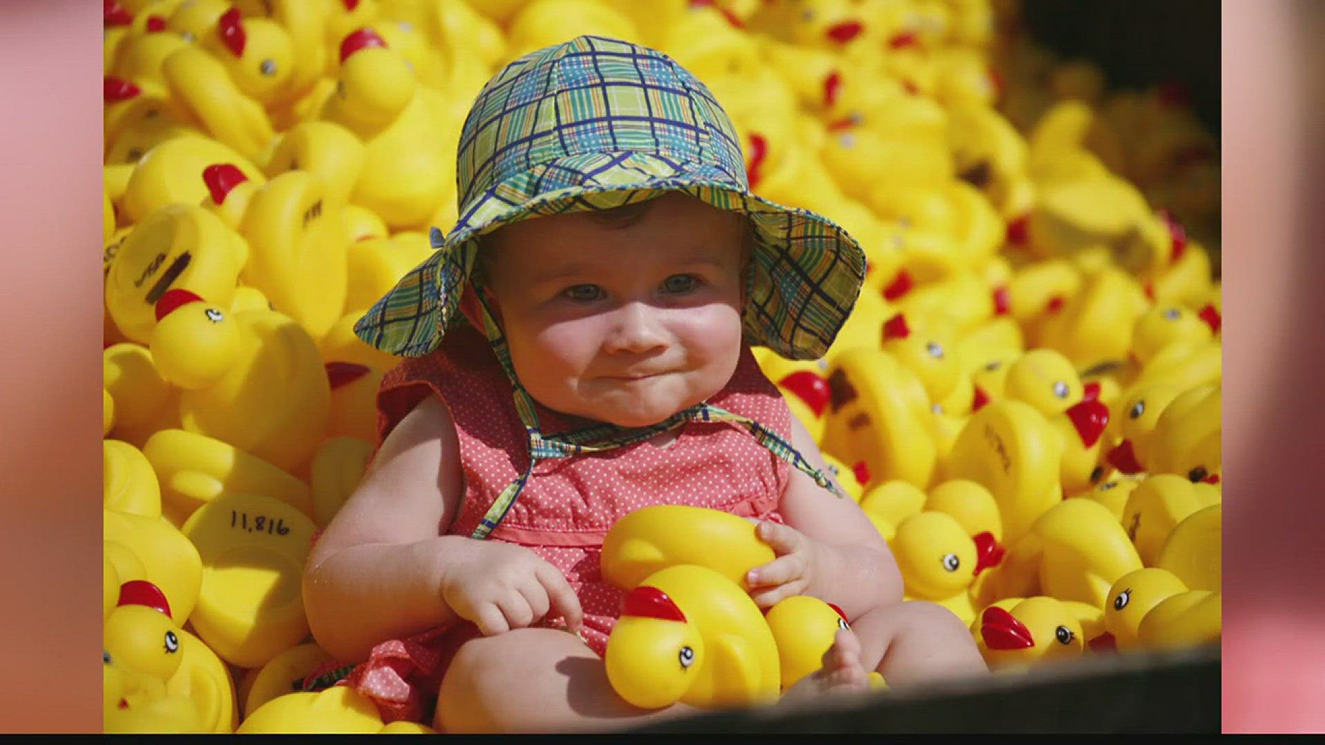 Interview: 11th annual Hampton Roads Rubber Duck Race