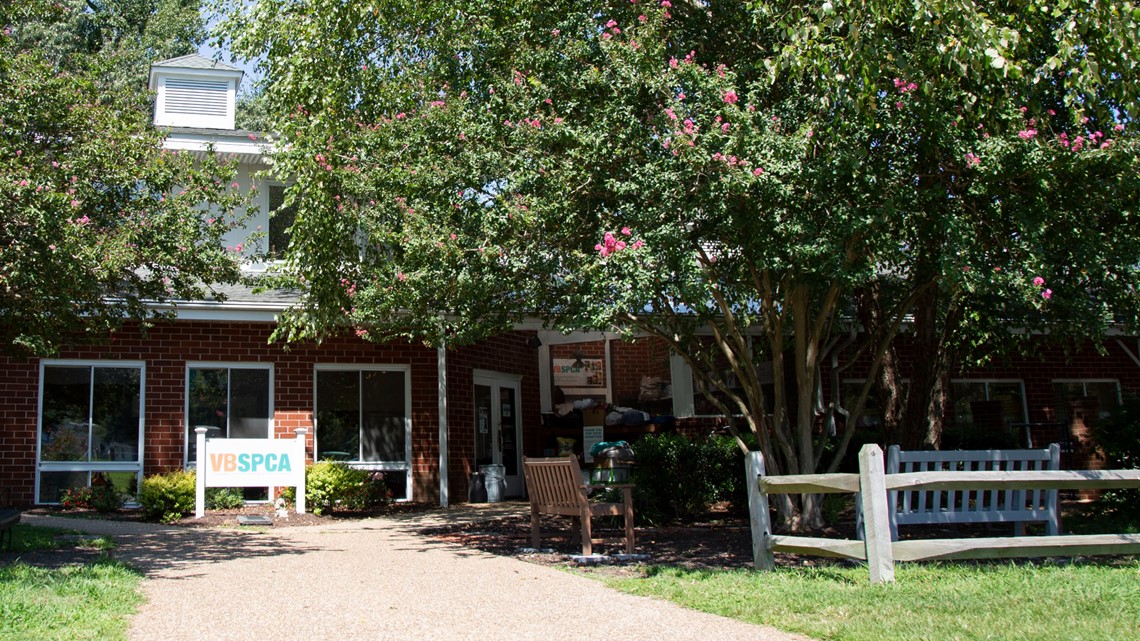 Virginia Beach SPCA reopening shelter after potential COVID19 exposure