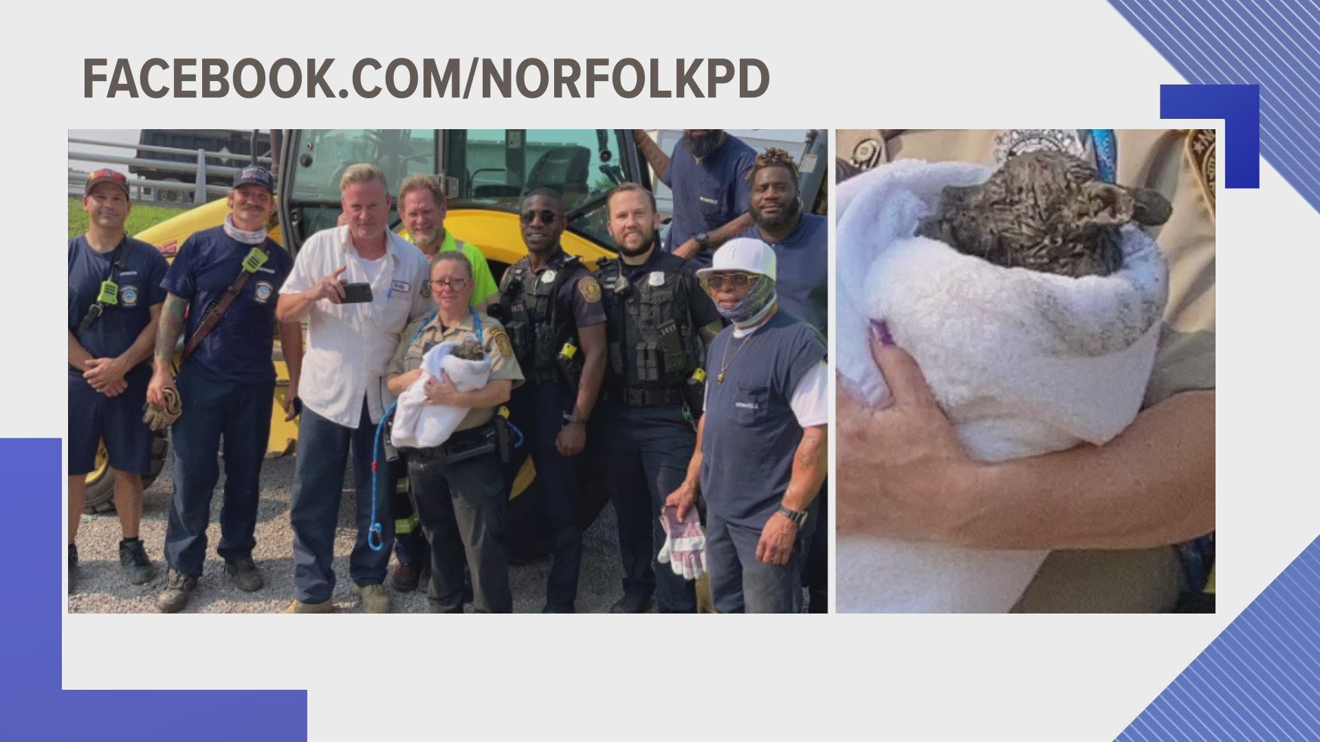 The Norfolk Police Department says the puppy is getting its much-needed rest.