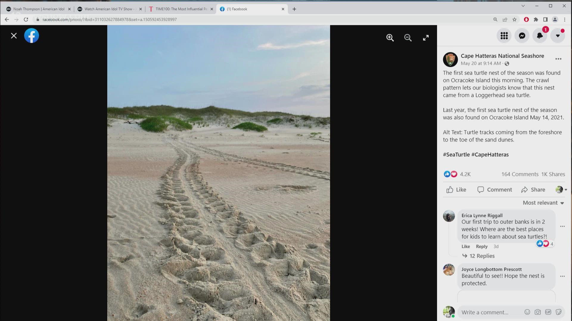 The turtle tracks showed that it was probably a loggerhead sea turtle nest.