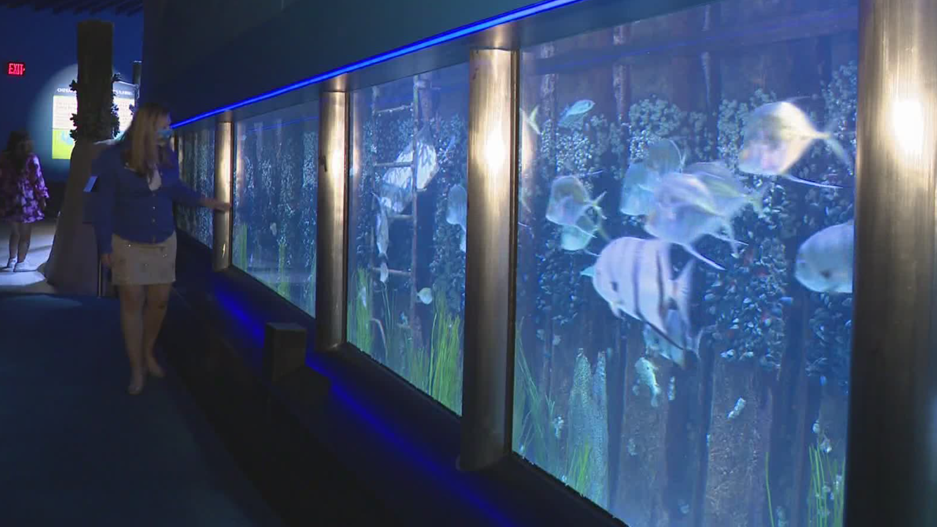 The aquarium said it would reopen June 19. Like other places, it closed because of the pandemic. There are some changes to help people enjoy a safe, healthy visit.