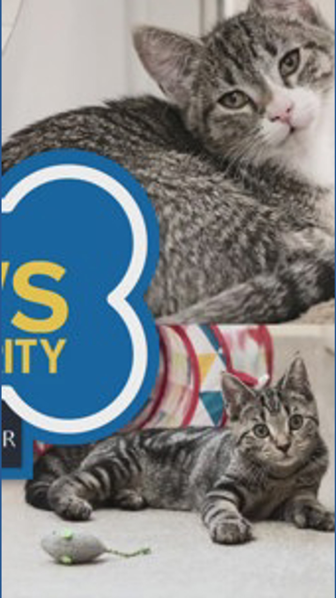 Annual Paws for Charity event underway to support animals at Hope for ...