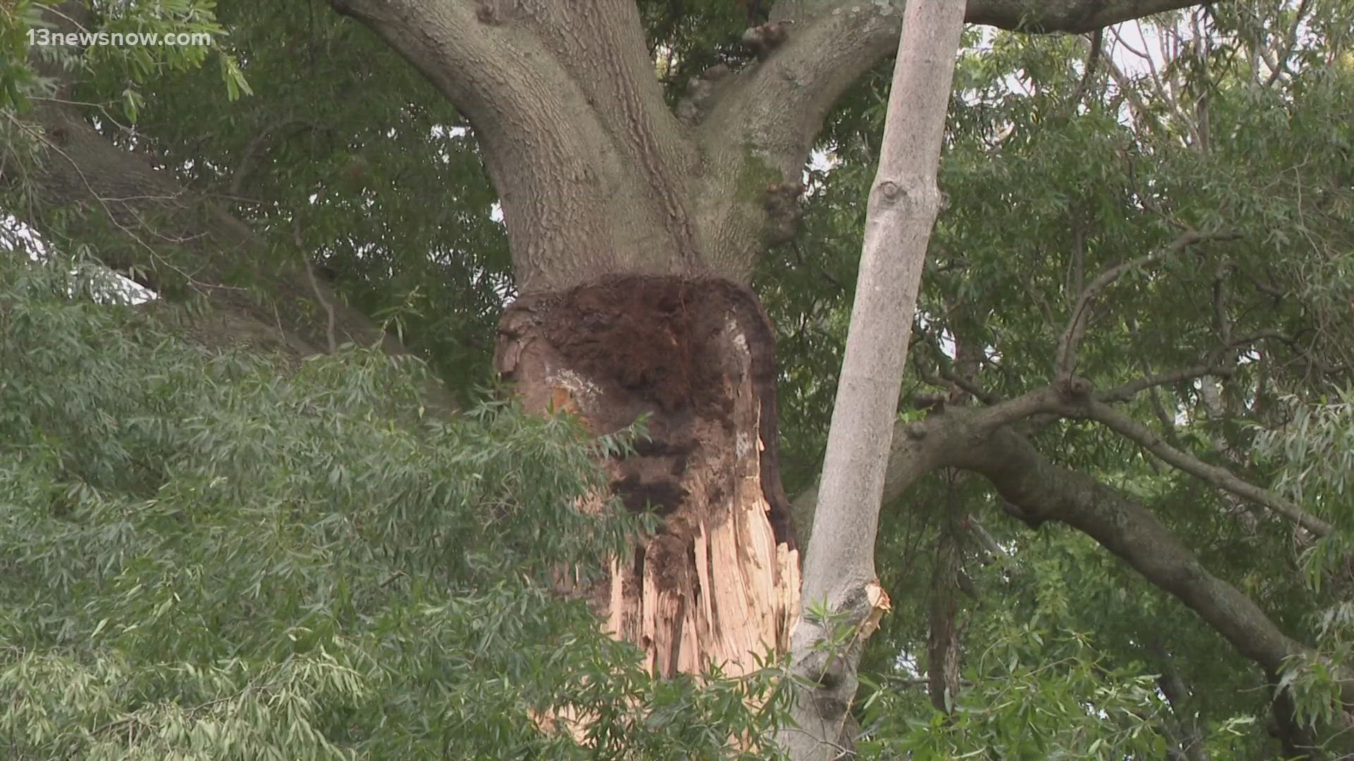 During Monday night's storm, a tree came down on three homes on Long Green Lane. A tree removal company came out on Tuesday to remove parts of the fallen tree.