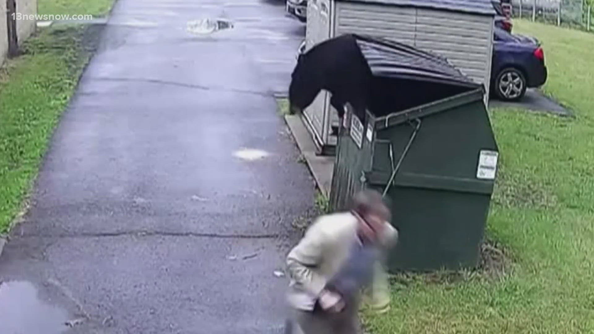 A school principal in West Virginia got the scare of his life when a large black bear suddenly jumped out of a dumpster he had been trying to open.