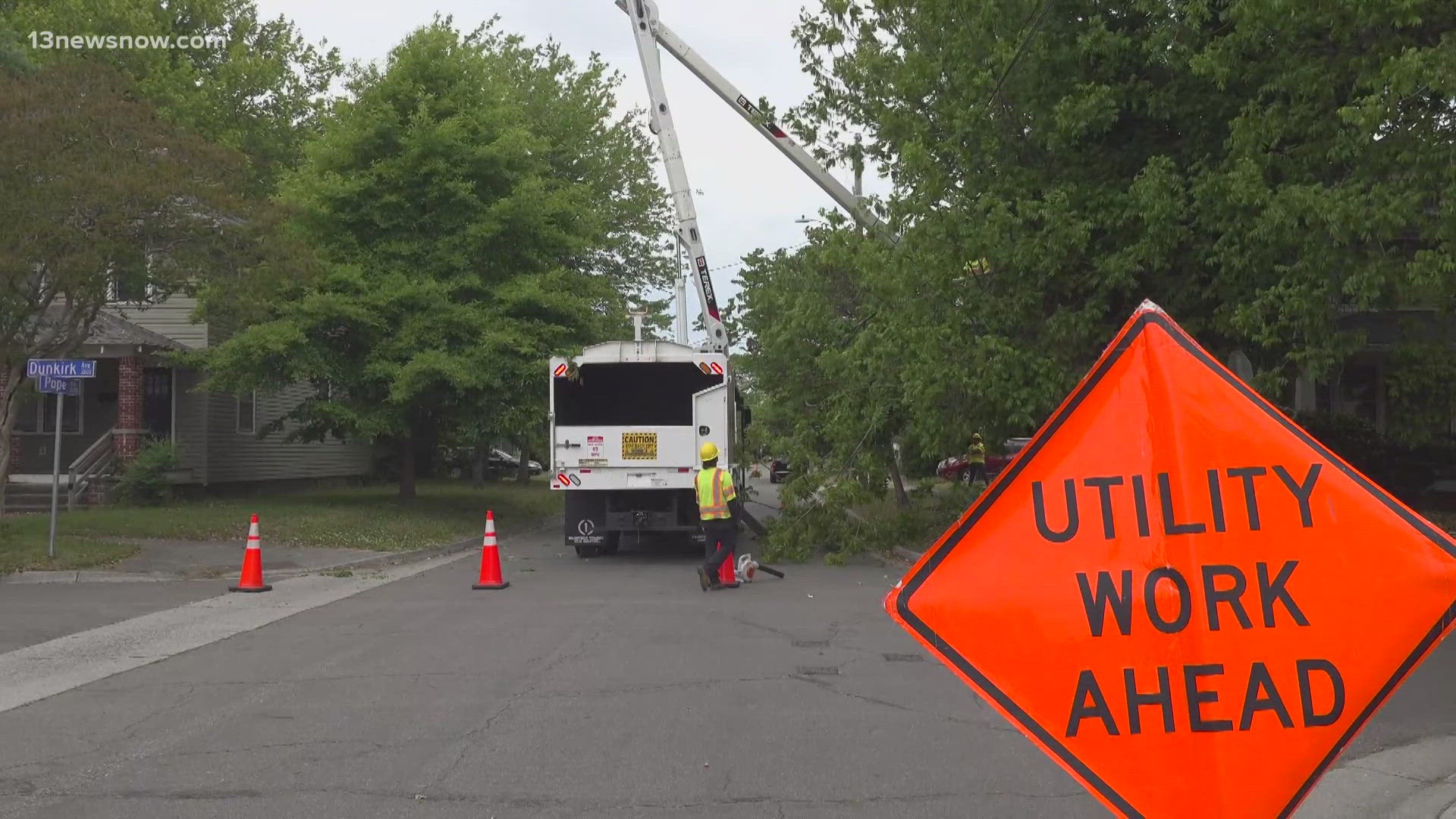 Dominion Energy Removes Hazardous Palmetto Trees in Charleston — image 3