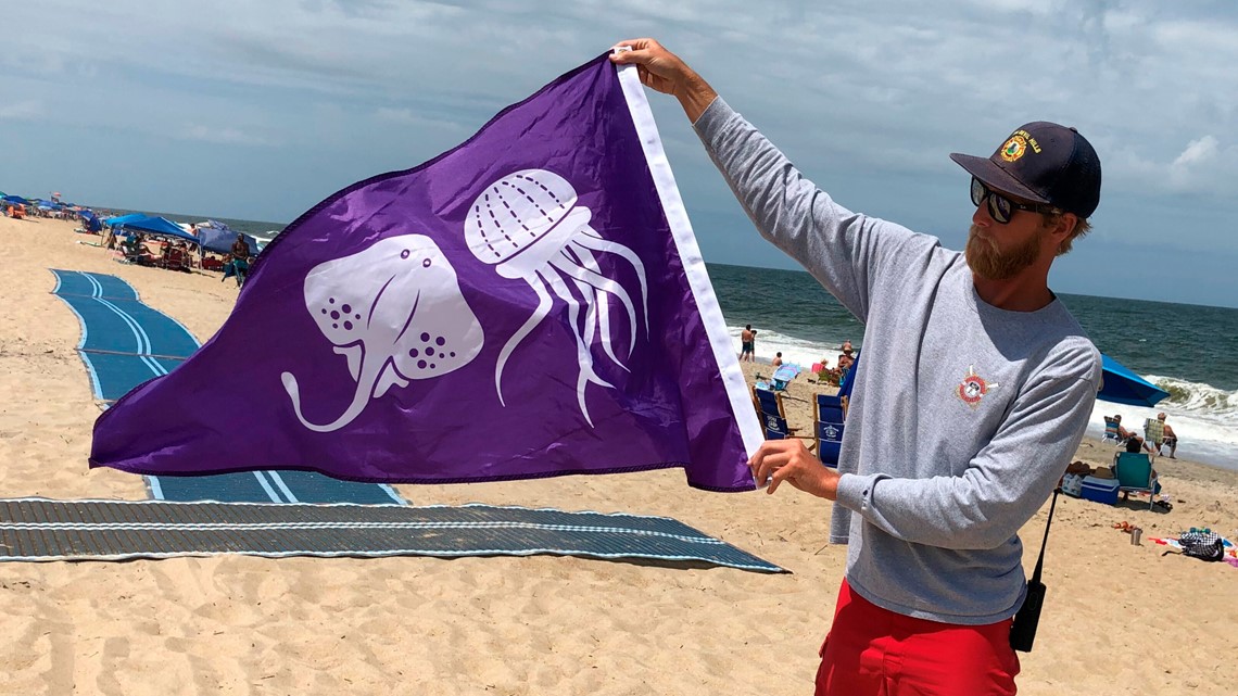 New flag warns of jellyfish, stingrays on Outer Banks beach