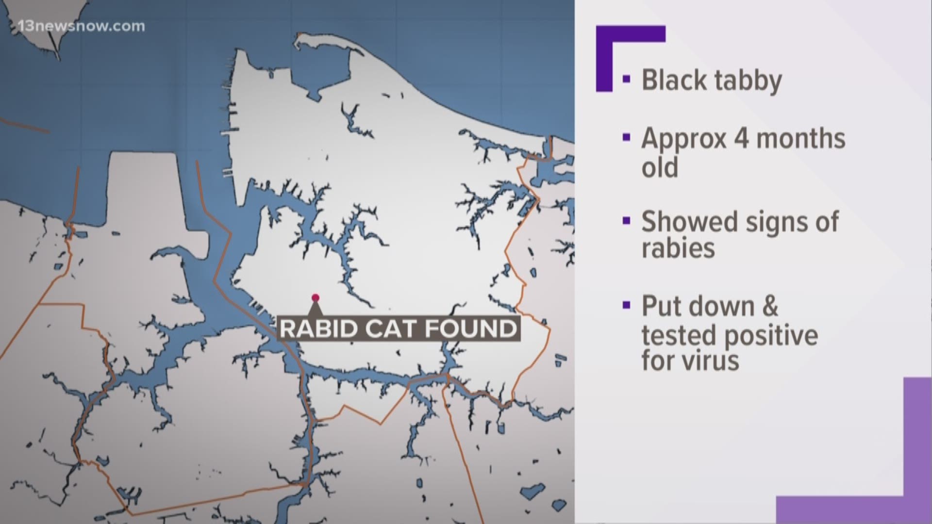 A rabid cat was found in Norfolk near 22nd Street and Llewellyn