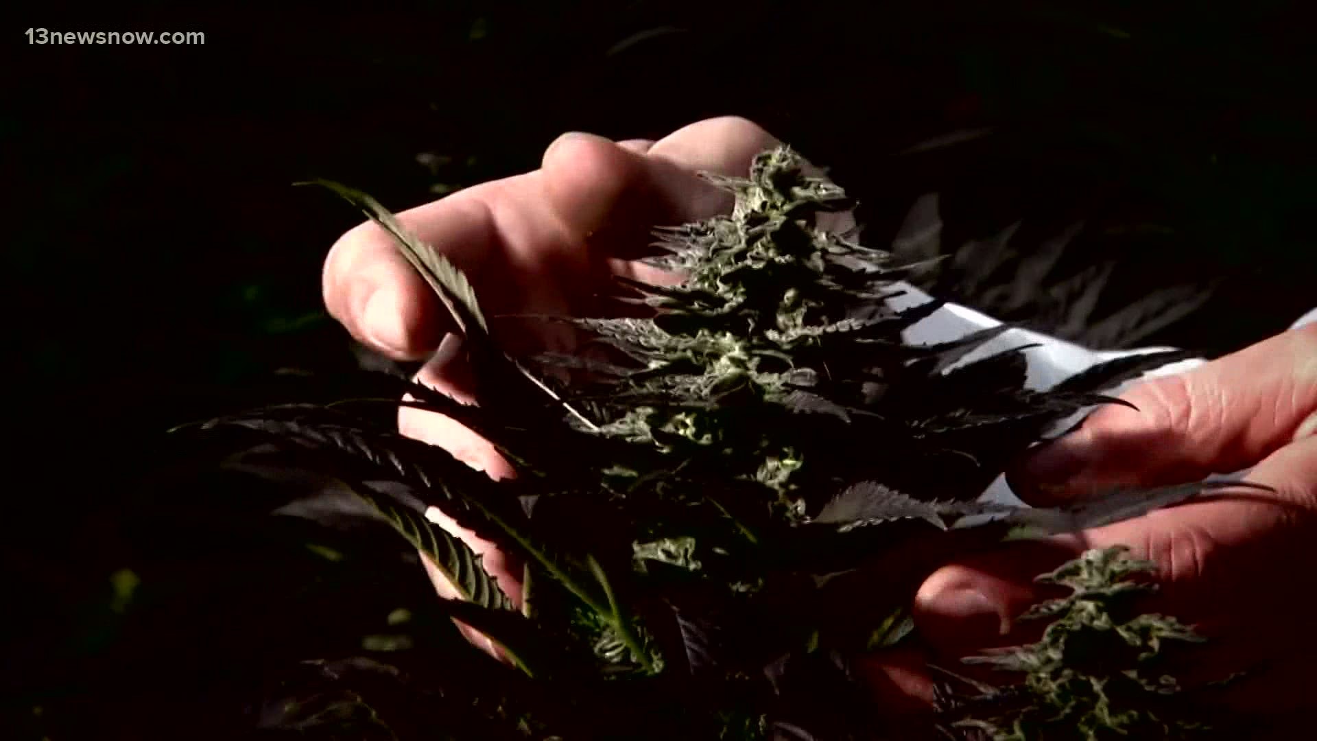 Virginia's marijuana laws ease up on July 1. The state is the first in the South to legalize possession of marijuana.