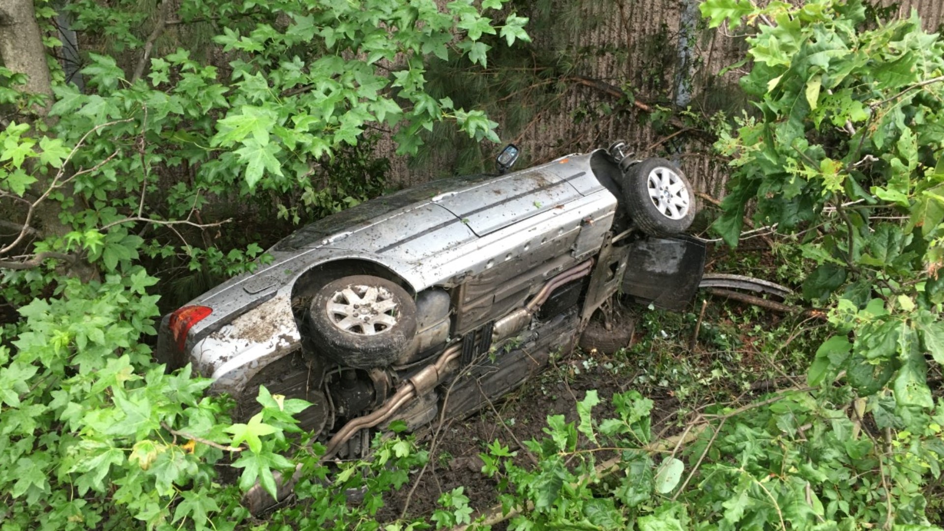 anatomical dead space swerving narrowly to avoid an accident