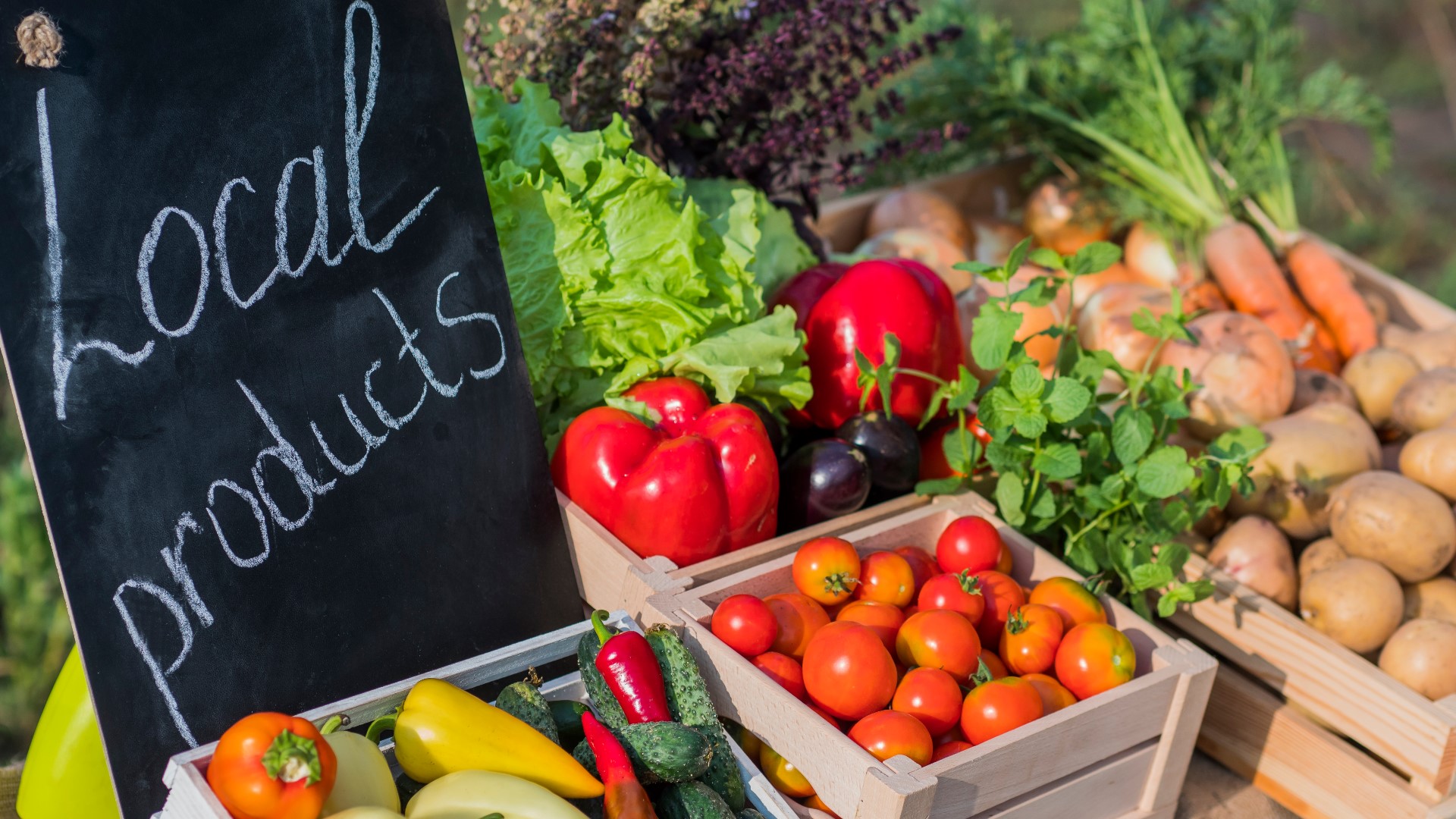 More than a market: How Yorktown Market Days connects farmers, vendors, and the community
