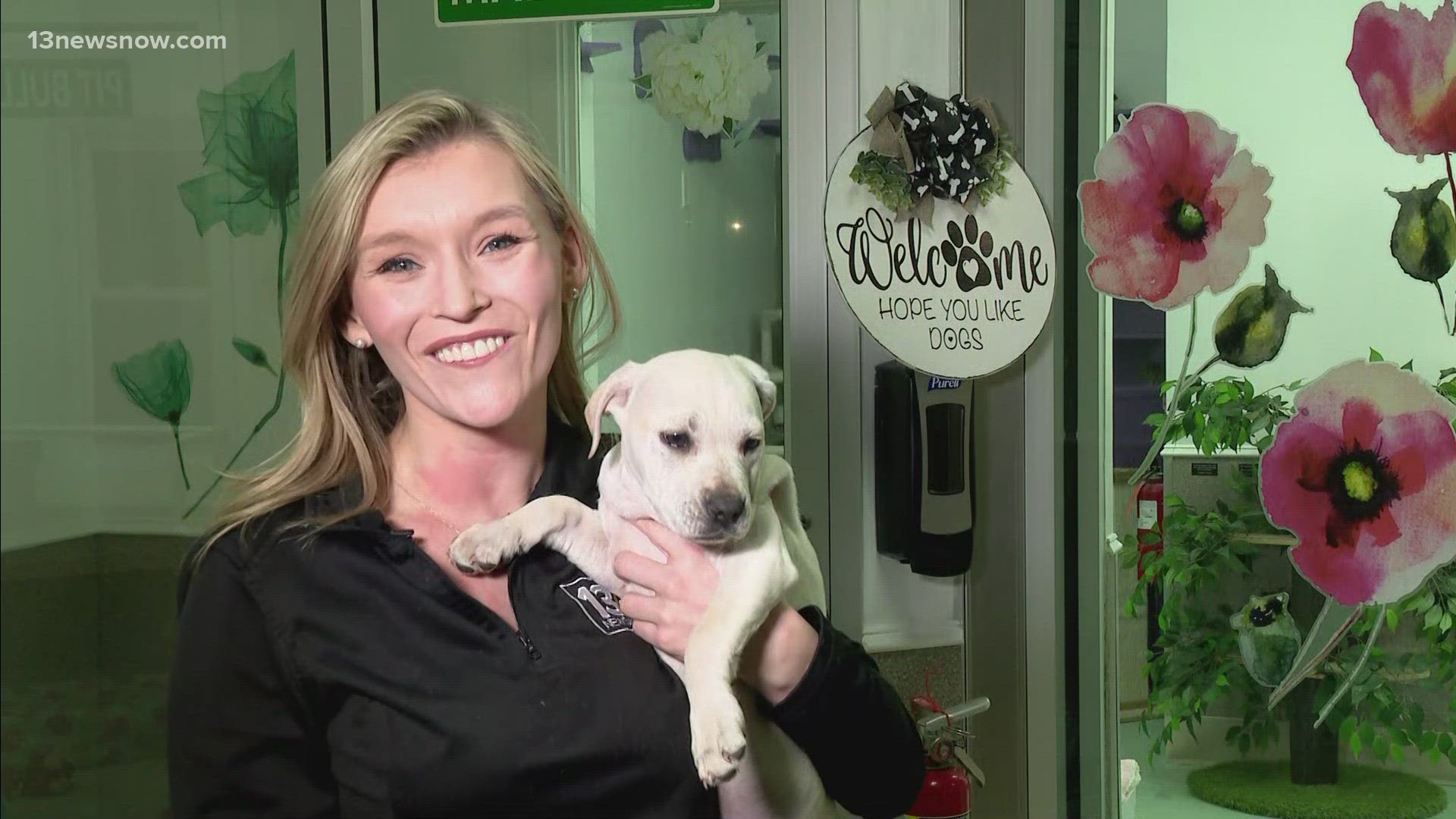 13News Now and Espirit Decor Home Furnishings are raising $25,000 for Hope for Life Rescue, a Virginia Beach nonprofit that transforms the lives of dogs and cats.