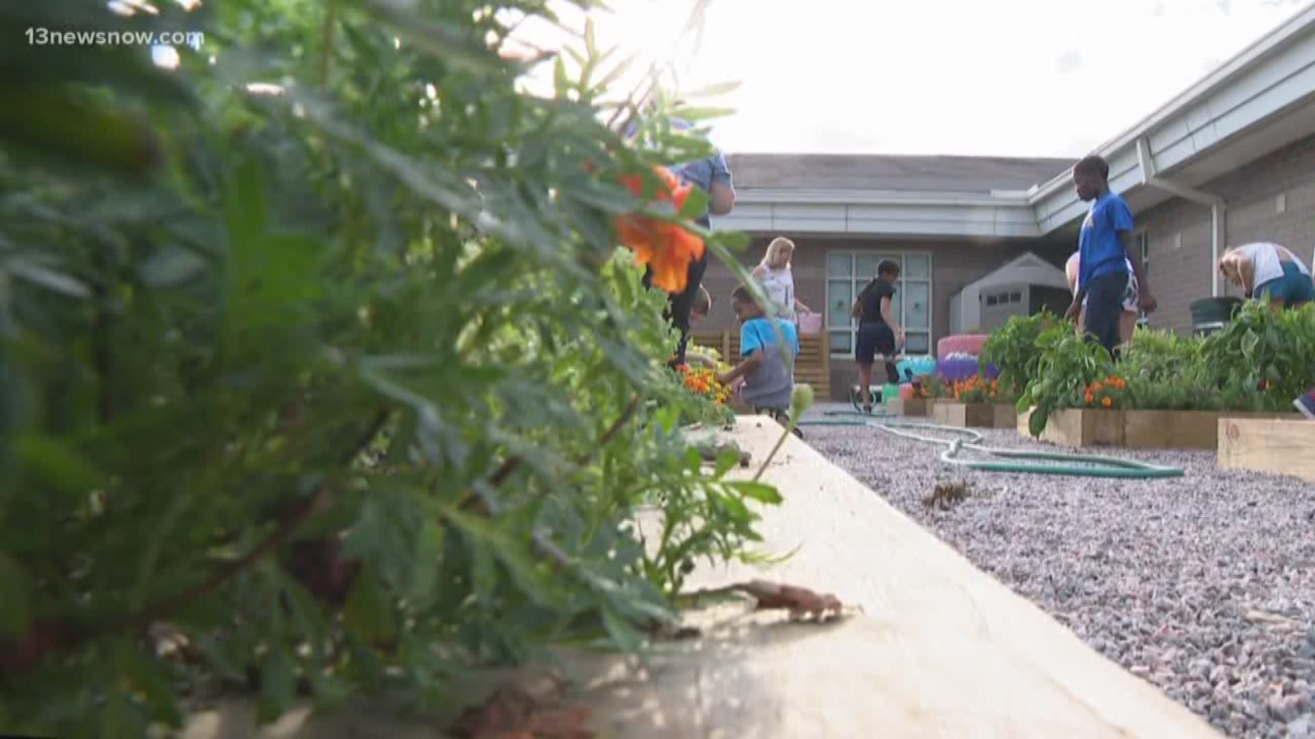 Students, families, and teachers volunteered to weed and water the community garden at Seatack Elementary School Wednesday night. "We do it all throughout the summer for the kids to get plants and healthy eating in. And, for the kids to get a good workout in with their families," Gifted Resource teacher at Seatack, Marie Culver, said.