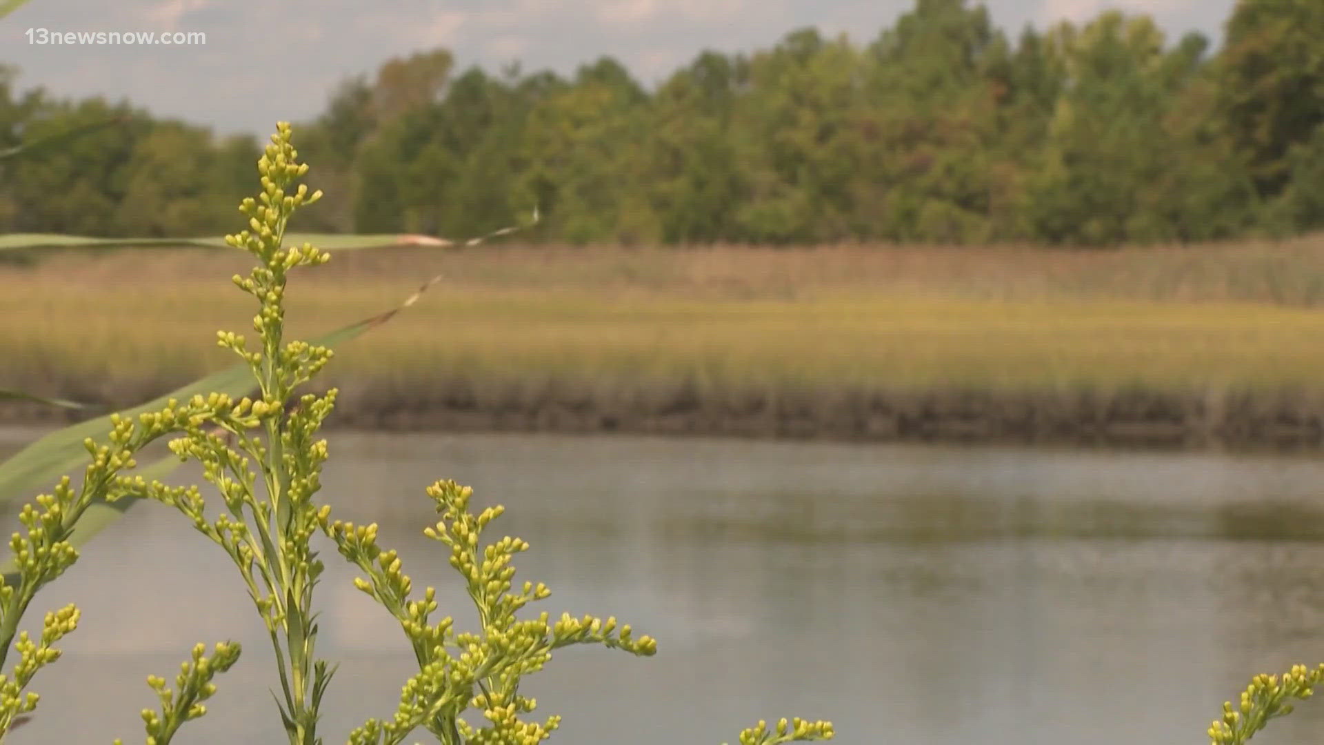 The Elizabeth River Project lost a major federal grant from the National Oceanic and Atmospheric Administration's BWET program.