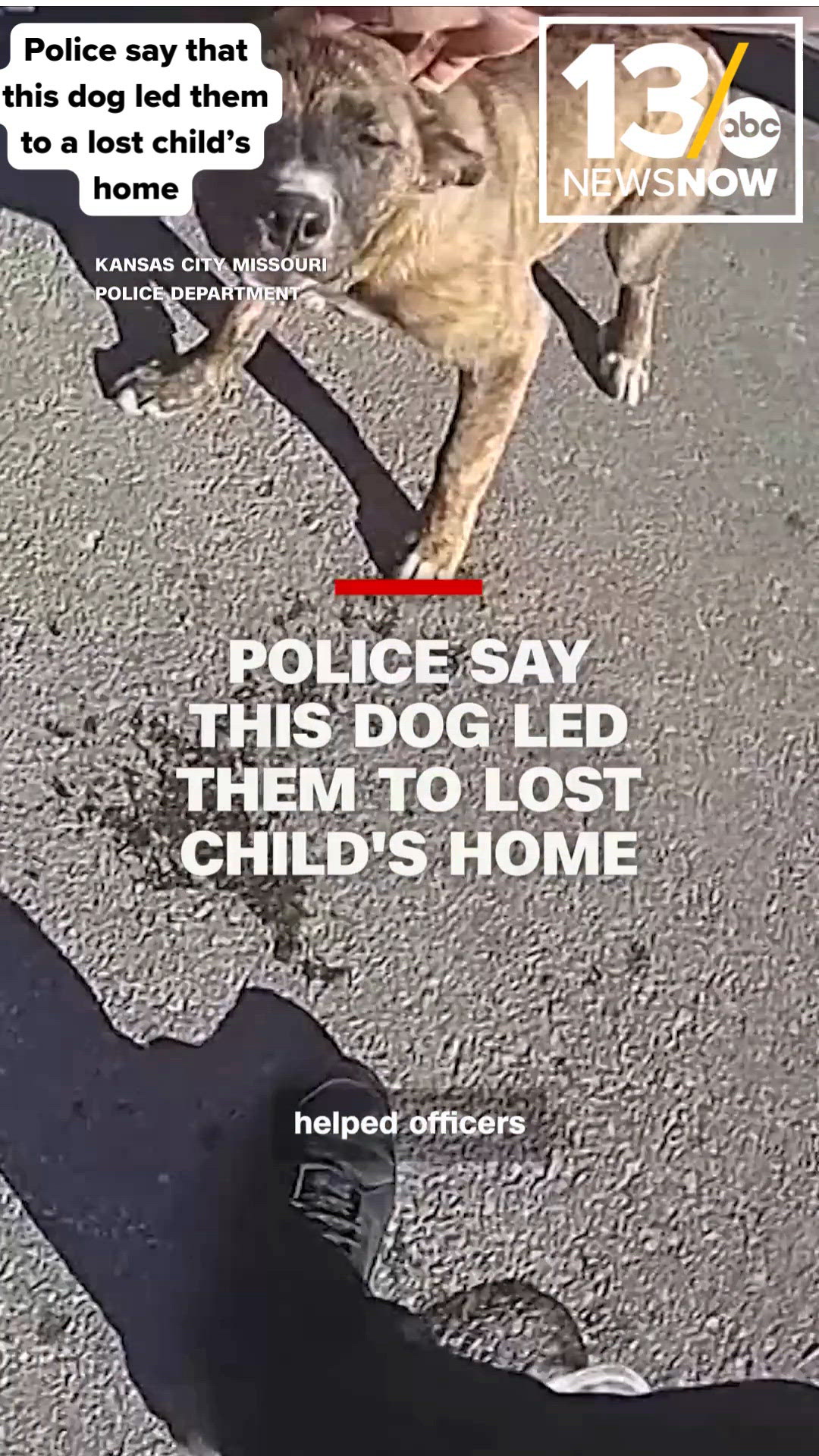 Dog leads police to a lost child's home | 13newsnow.com