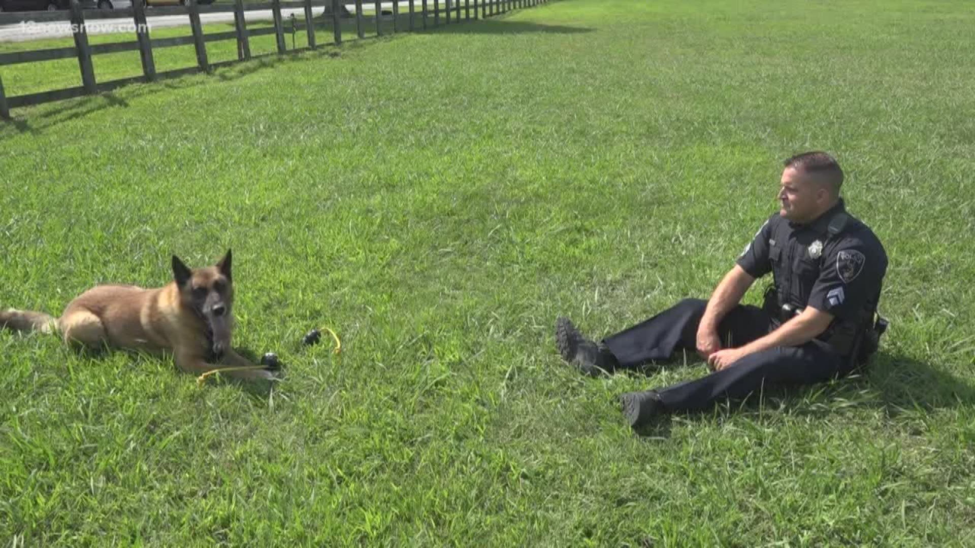 Newport News Police Department's retired K9 passed away. K9 Havoc was the oldest and longest-serving dog before he retired in July of 2018.