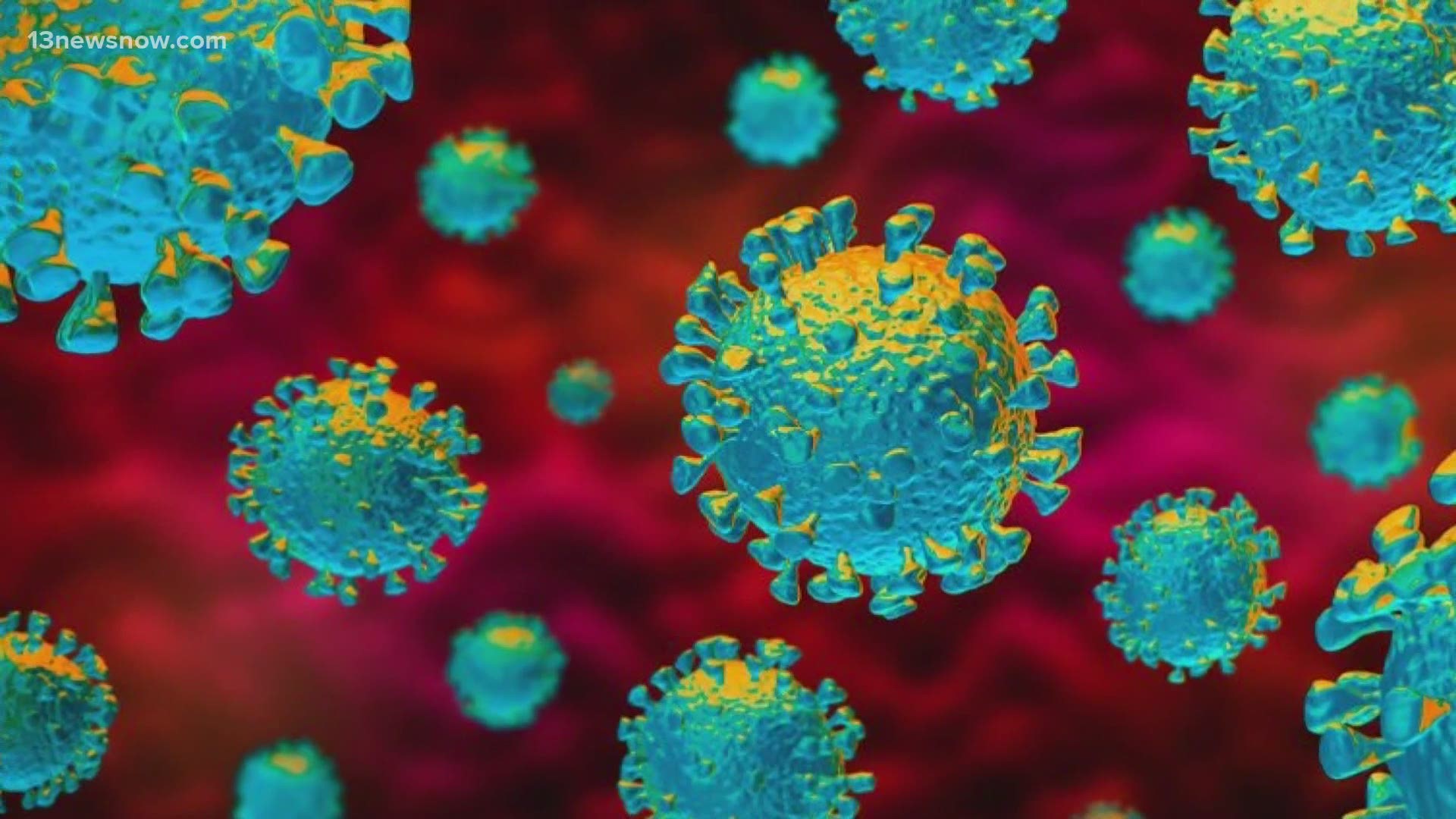 Dr. Anthony Fauci, the nation's leading infectious disease expert, warned the country about the new COVID-19 variants. 13News Now Mike Gooding has more.