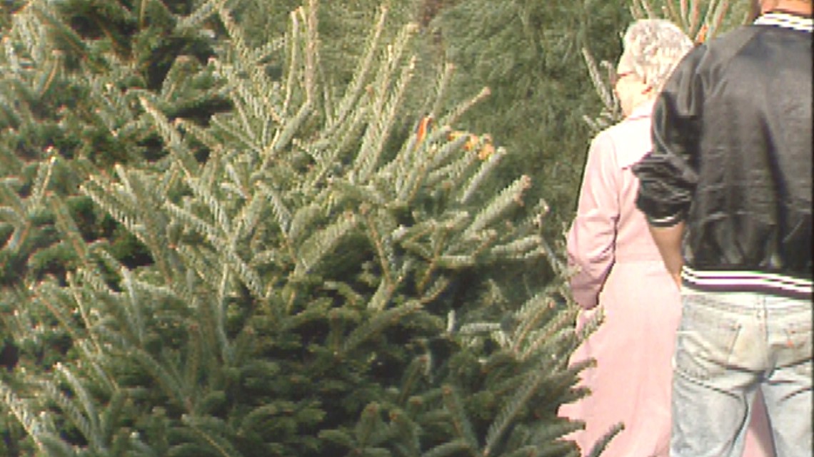 Christmas tree industry has changed a lot in the last 4 decades