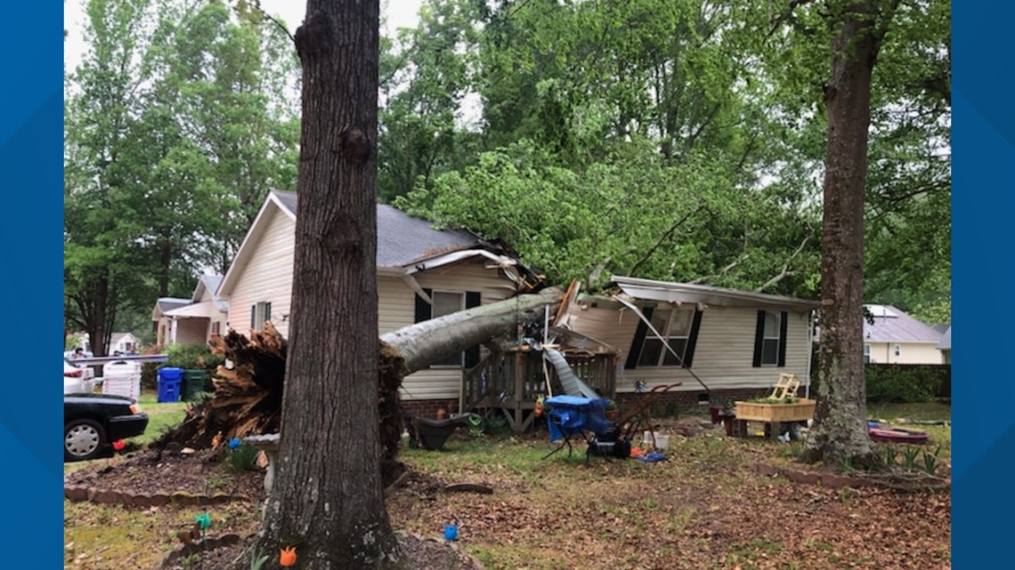 Suffolk woman recovering after large tree falls on her home | 13newsnow.com