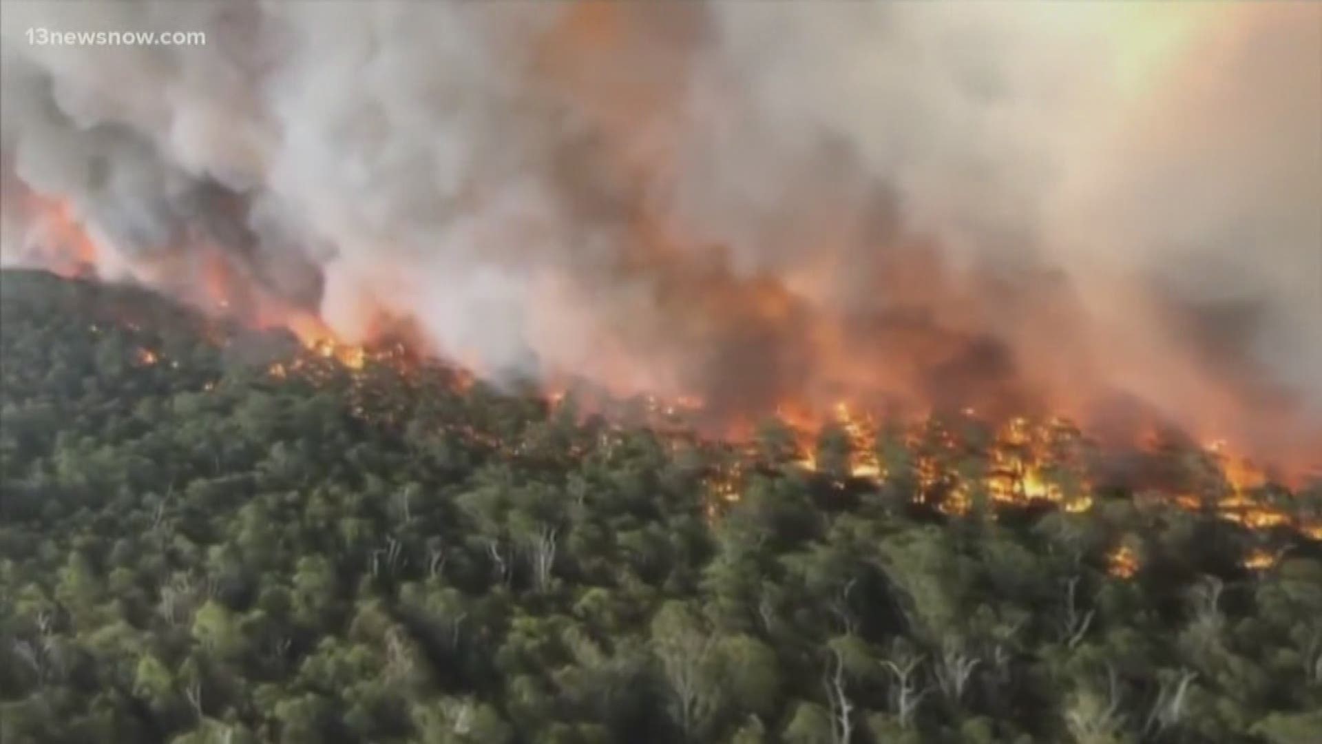 Brushfires continue to burn in Australia. Here's a breakdown of how you can help from home.