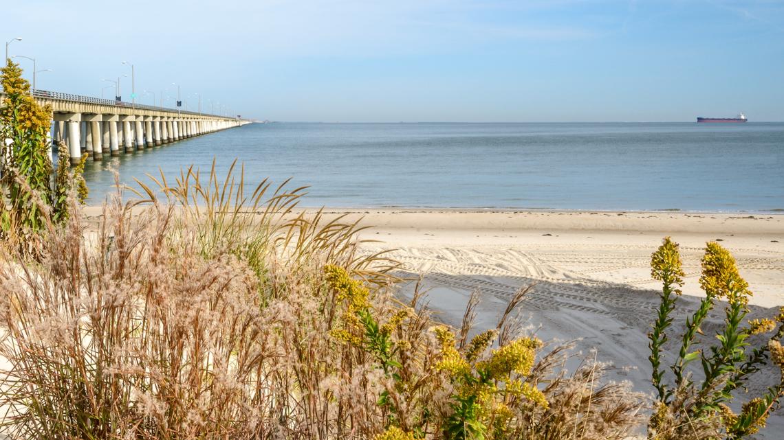 Virginia’s next leaders face pressure to address toxic pollution in the Chesapeake Bay