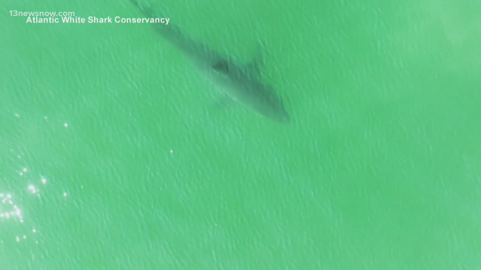Officials are warning beachgoers this summer to be careful after a series of shark attacks across the country have sent multiple victims to the hospital.