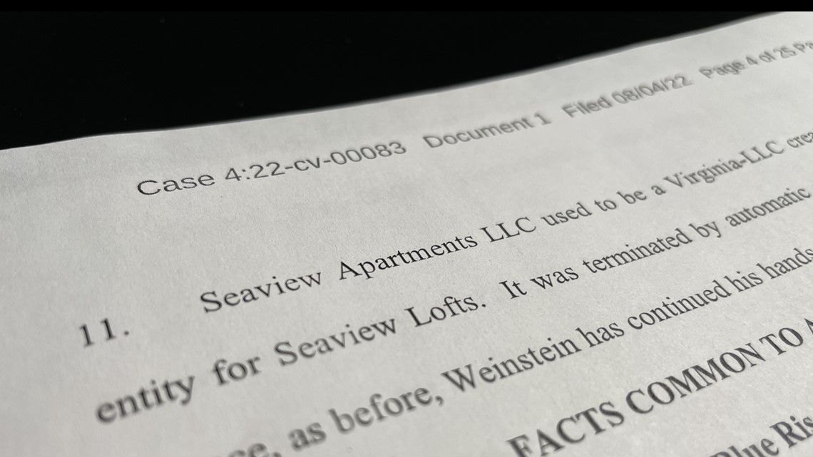 'Unmanageable mold problem' Lawsuits against SeaView Lofts owner