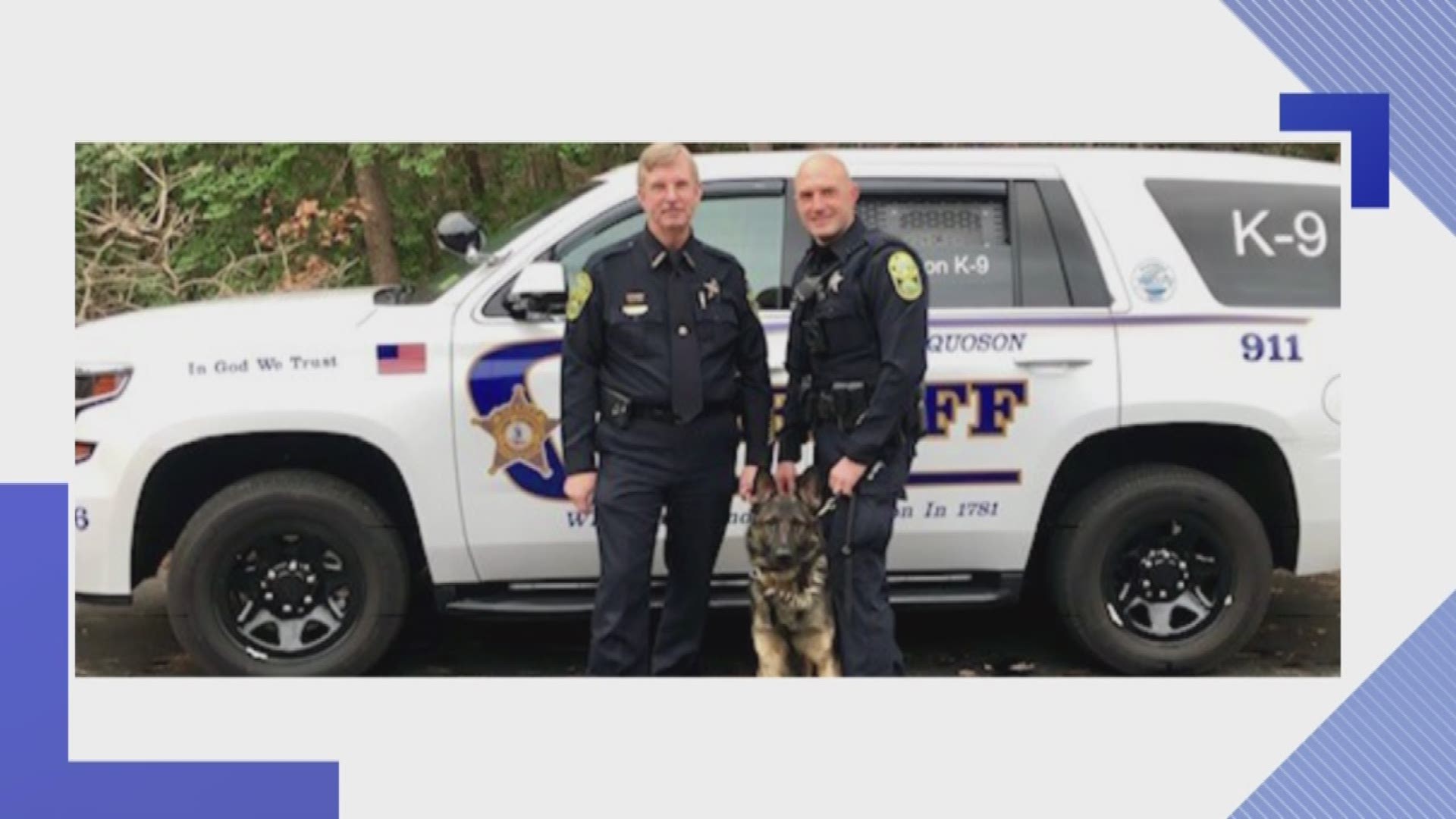 A police K-9 just started its career with the York-Poquoson Sheriff's Office.
