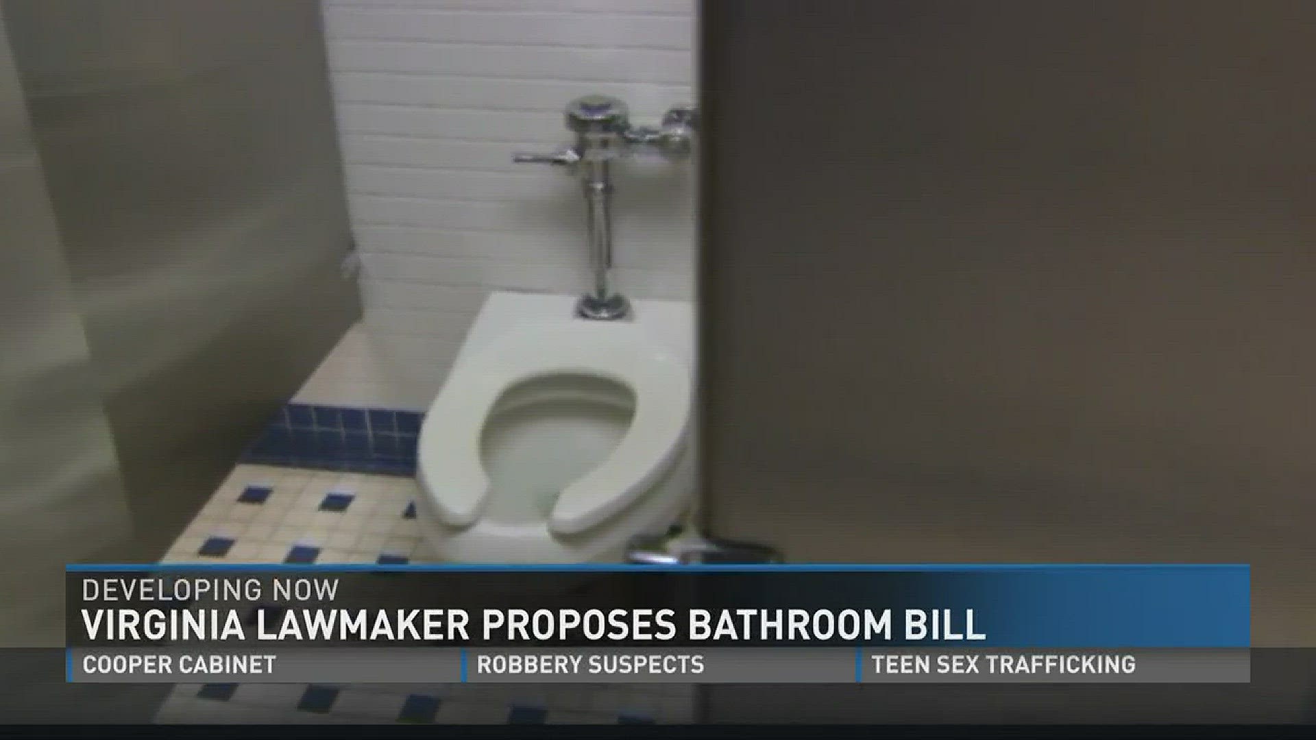 Virginia Lawmaker proposes bathroom bill