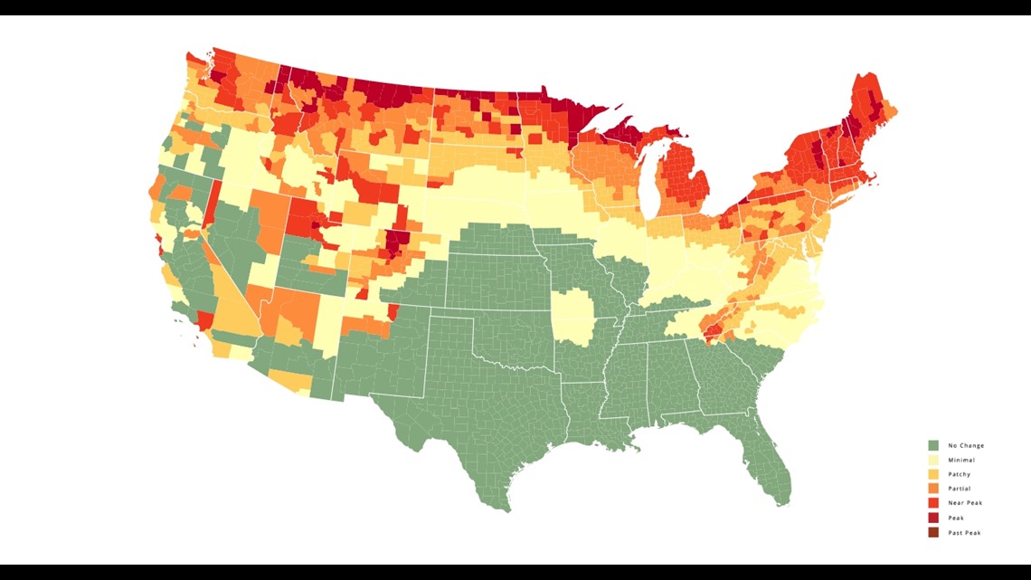 Fall foliage map 2023: When Virginia's leaves will peak | 13newsnow.com