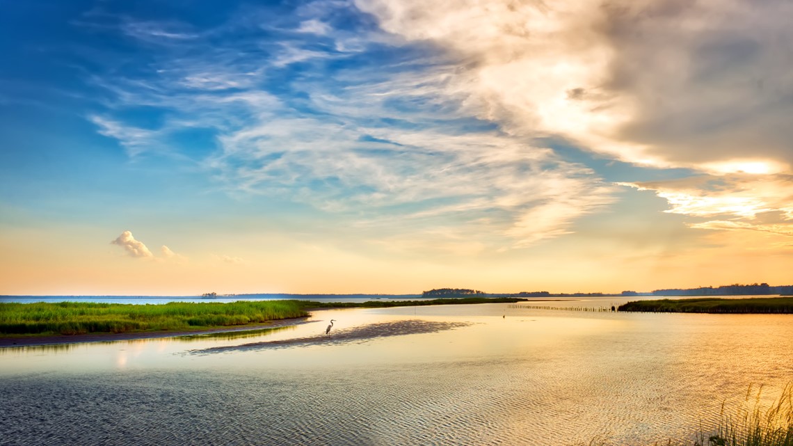Chesapeake Bay 'dead zone' predicted to be more than 30% smaller - Vimarsana News