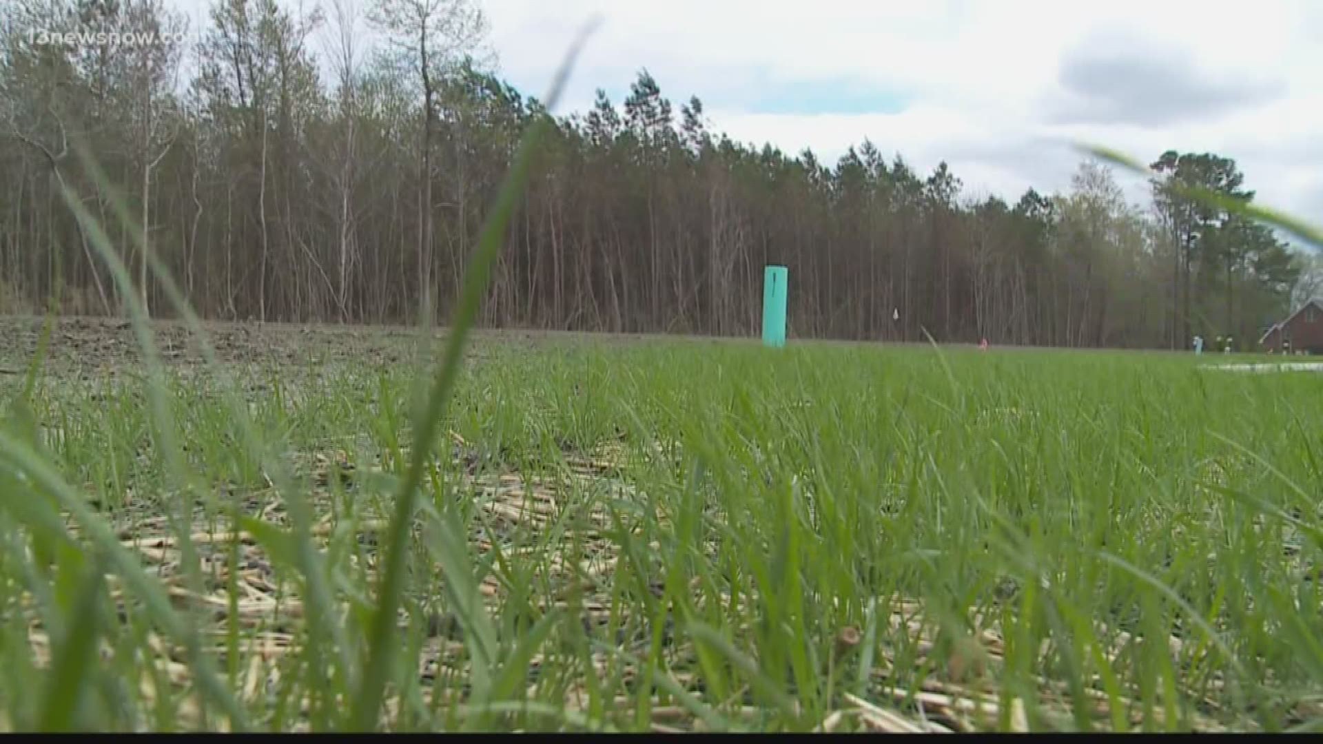 32 homes could be built on Holland Swamp if City Council approves