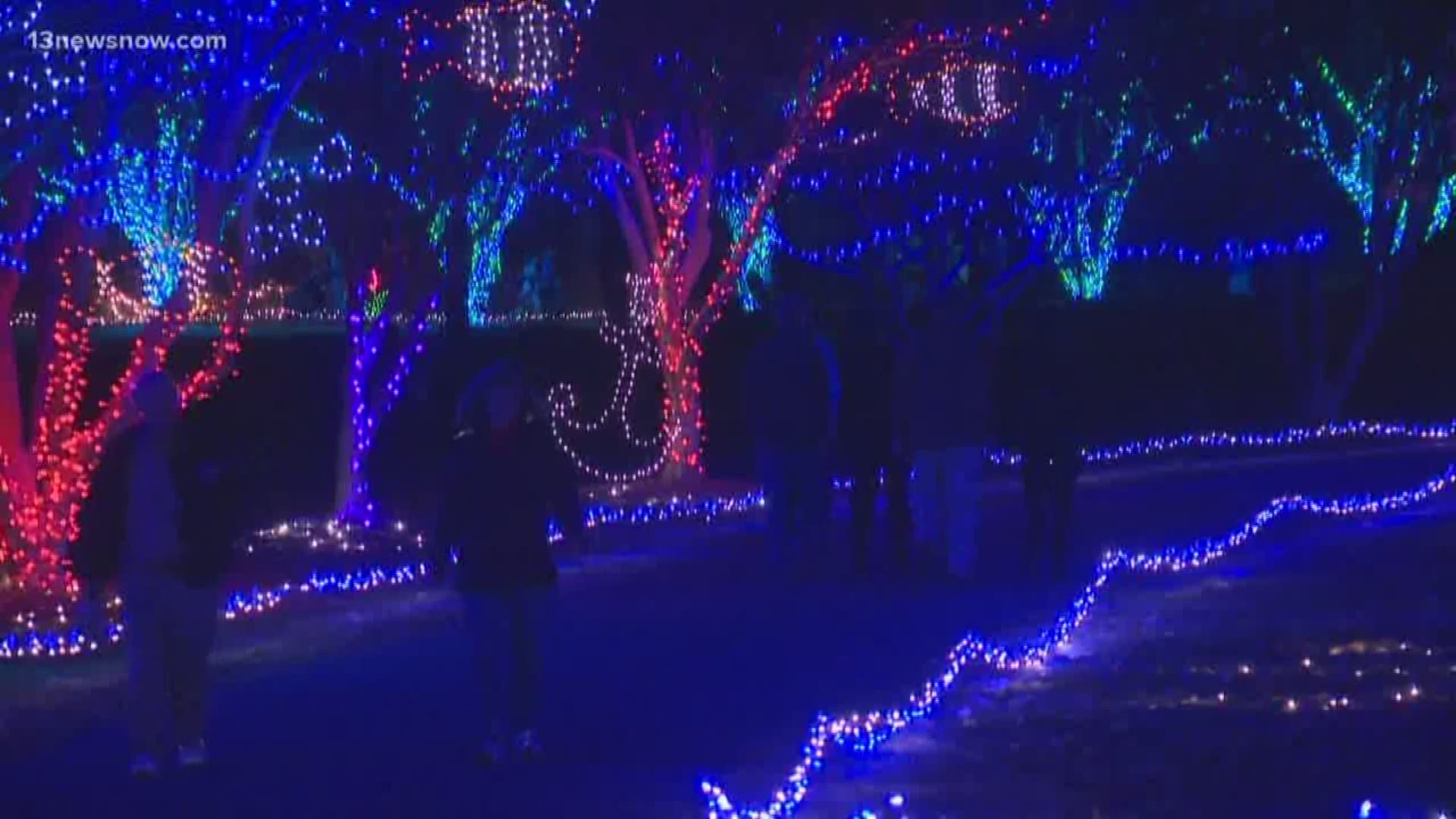 The Norfolk Botanical Garden's Million Bulb Walk is open through December 14. You can drive through the Garden of Lights, which has been offered for years.