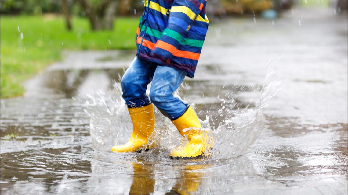 Norfolk sees second-wettest March on record - Vimarsana News