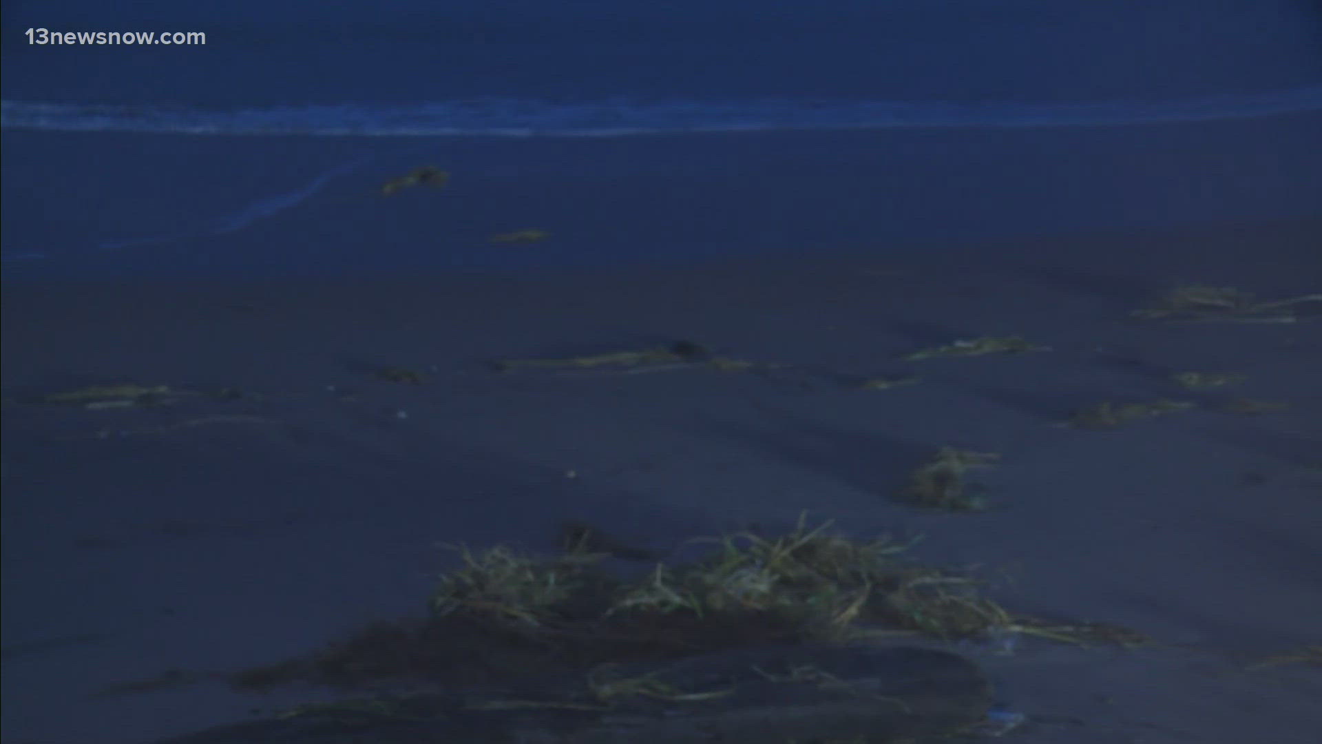 Understanding the climate conditions and adaptation strategies for August weather in Virginia Beach