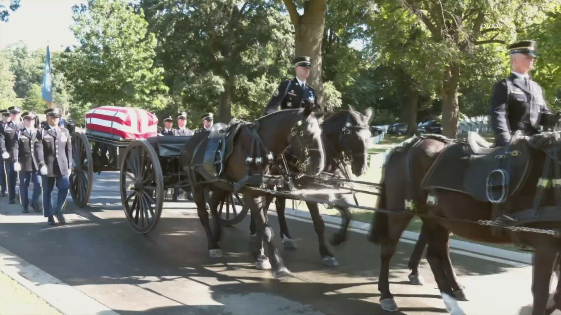 Continued suspension of horse-drawn caisson funerals at Arlington ...