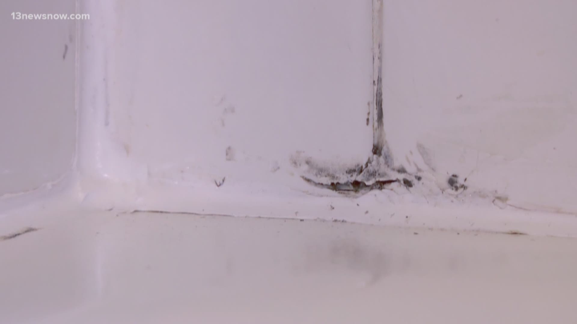 The Navy is addressing issues in their privatized housing like lead paint, mildew and mold.