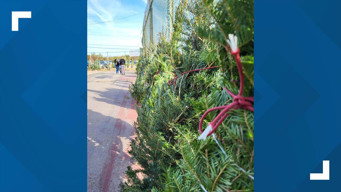 JEB Fort Story hosts free Christmas tree giveaway