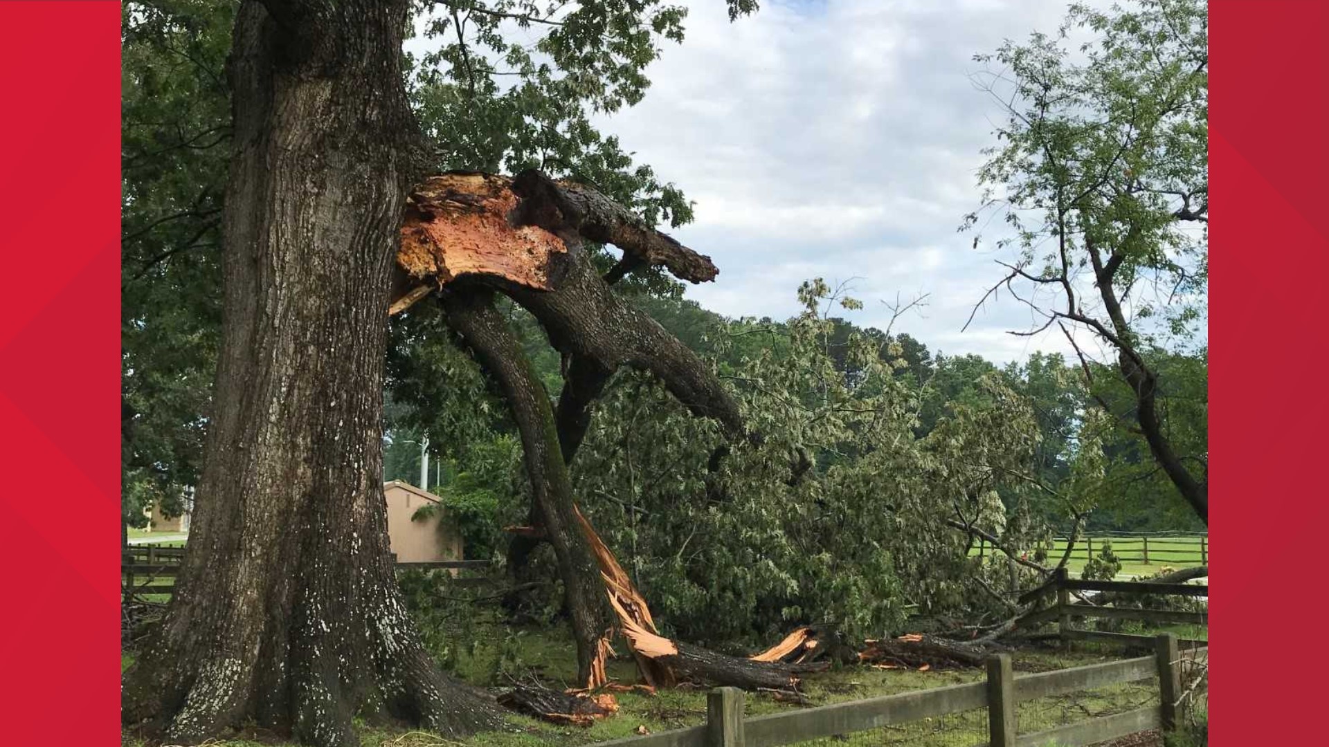 Quick-moving storms bring down trees, knock out power to thousands in ...