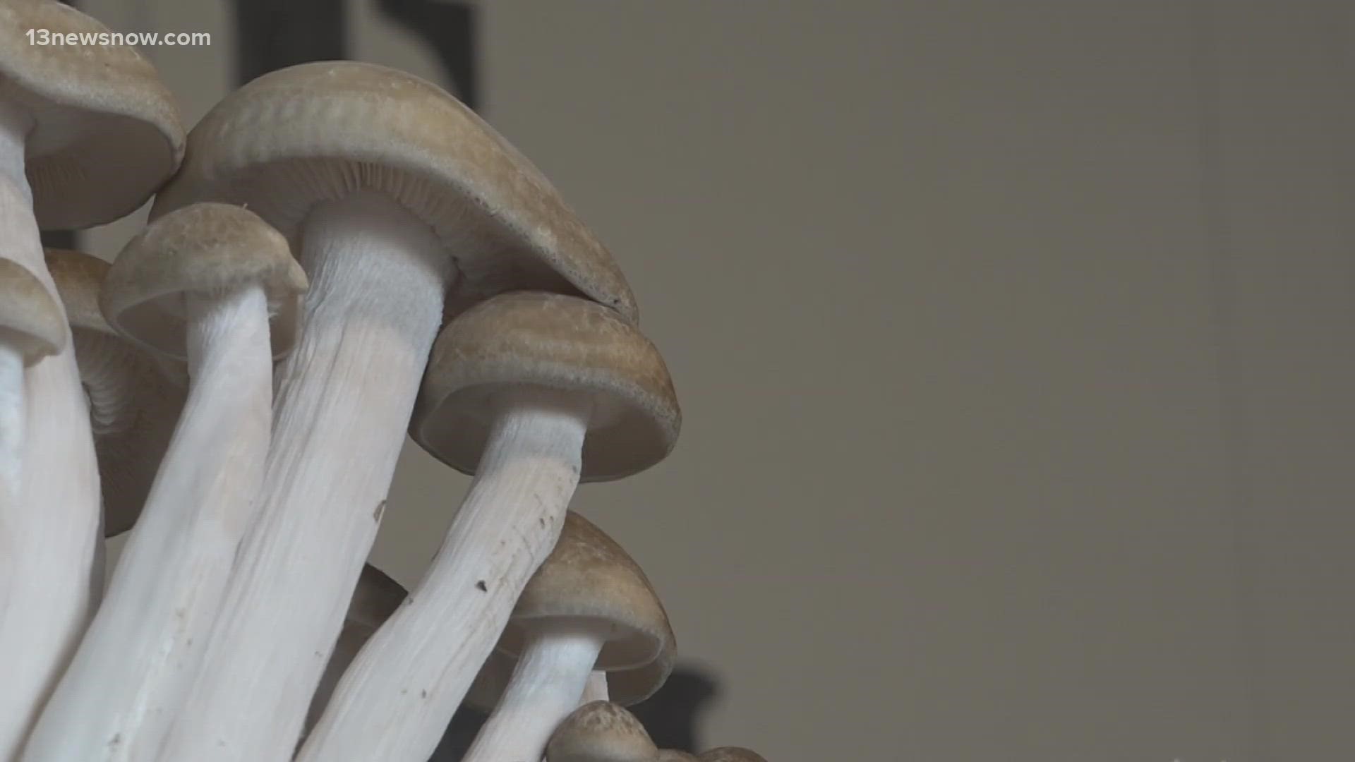 A psychedelic drug is once again at the center of discussion among Virginia lawmakers.