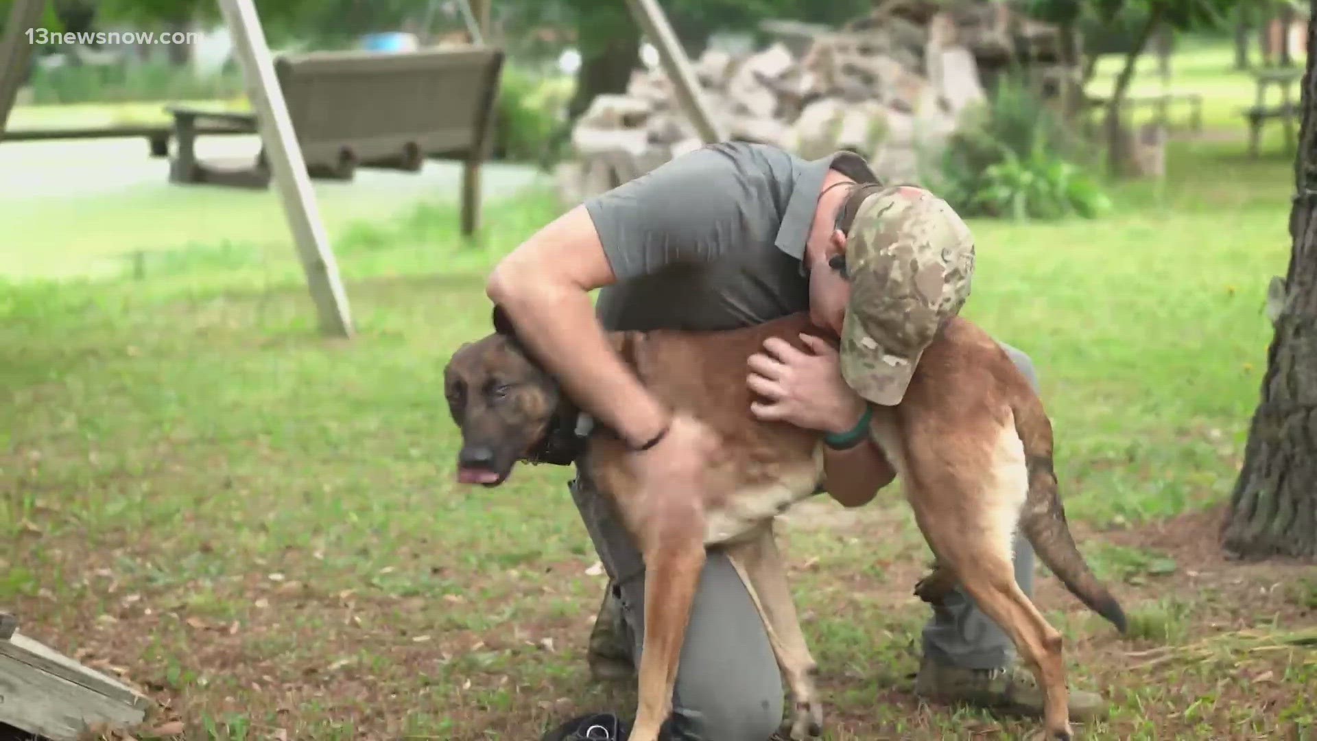 Dog training for clearance veterans near me