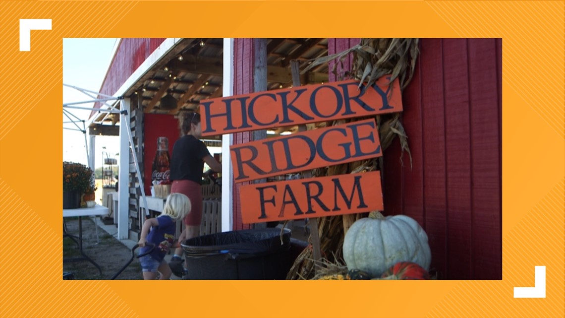 Hickory Ridge Farm in Chesapeake offer fall fun, pumpkin treats