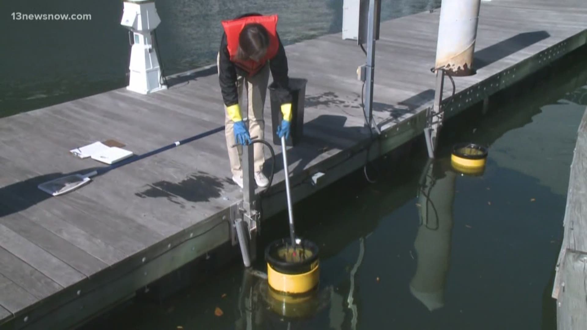 There are three sea bins at Nauticus. Since they were installed just over a year ago, over 1,000 pounds of trash have been collected from the Elizabeth River.