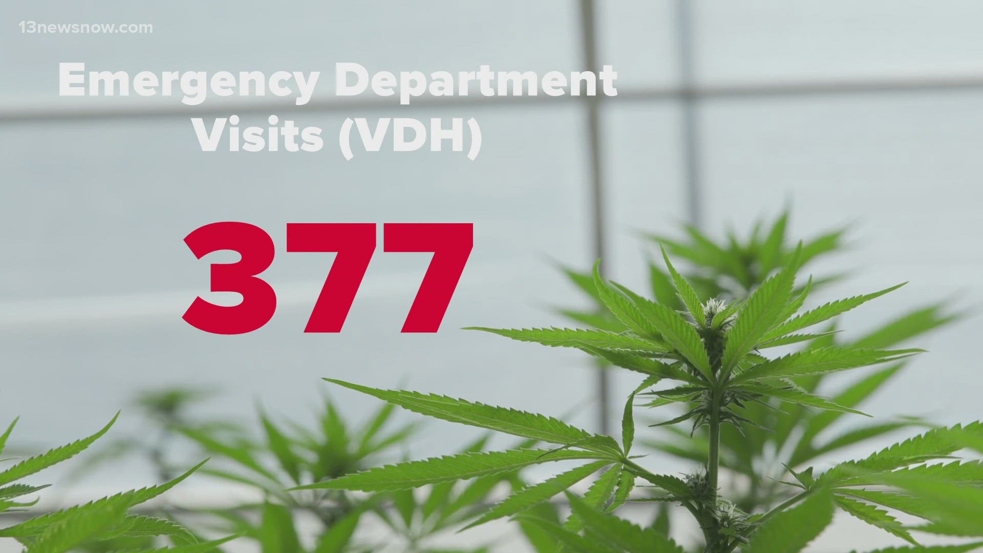 Tonight, Virginia’s health department wants to better understand the toll of cannabis hospitalizations.